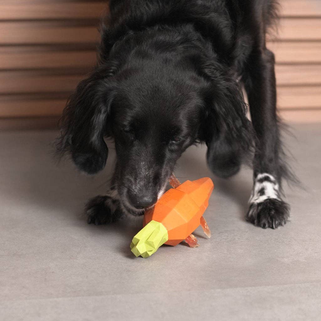 Super Veggiez Carrot Dog Toy