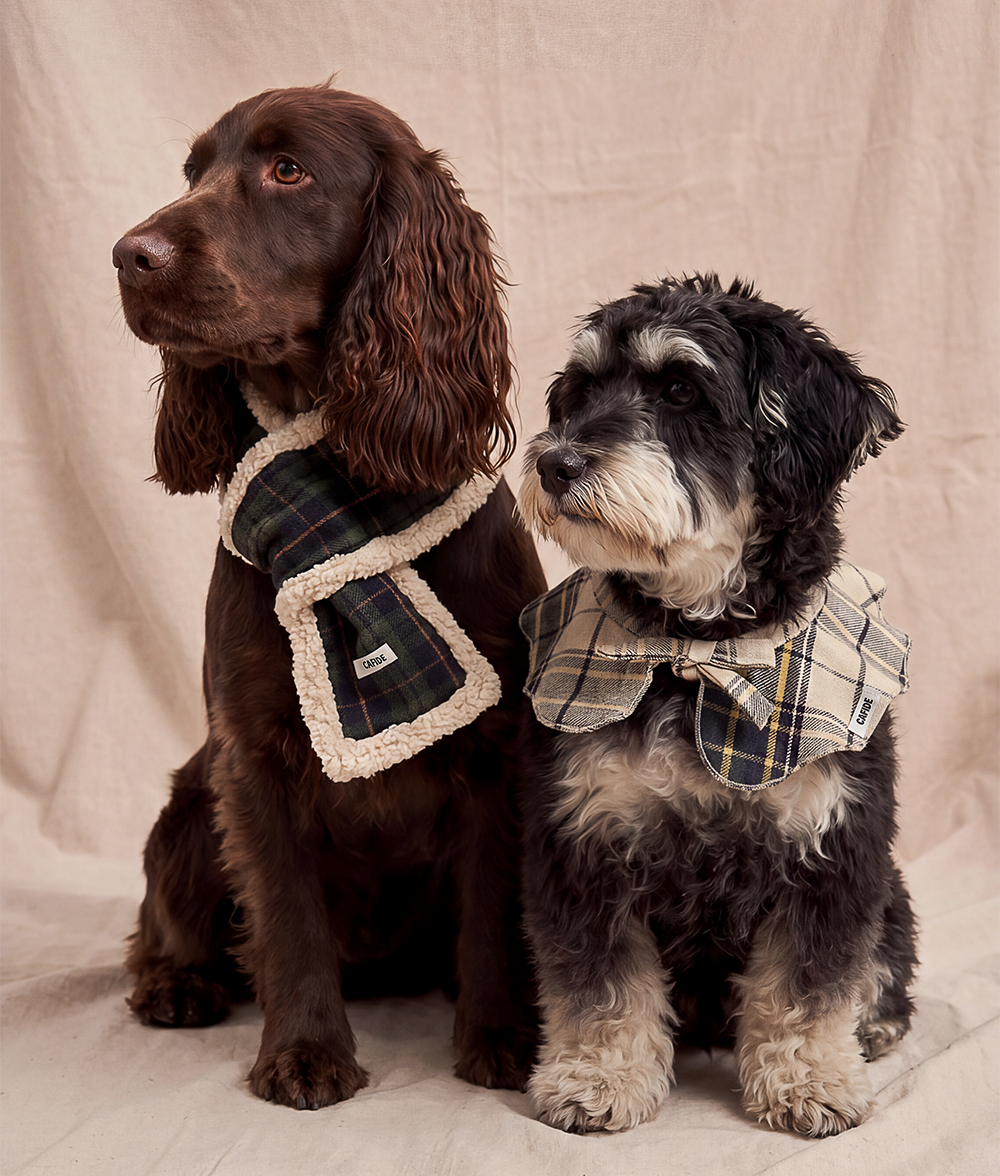 Bandana LOLA Tartan Beige