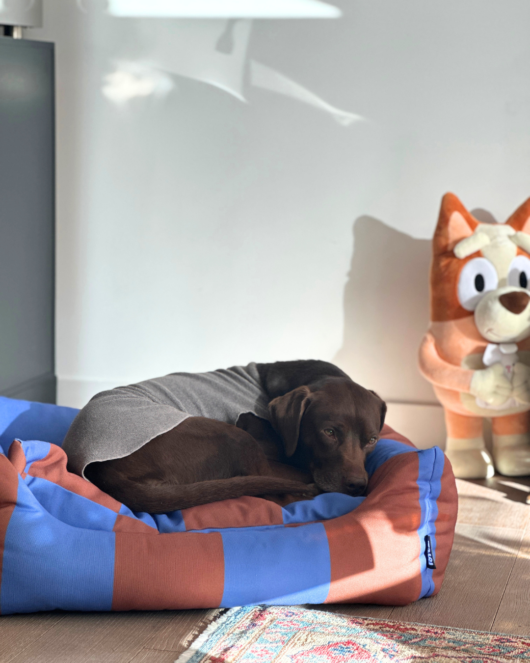 Legowisko Nest