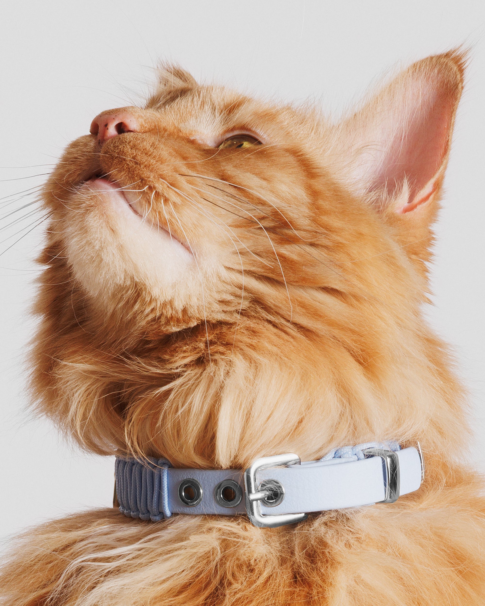 Obroża TINY baby blue