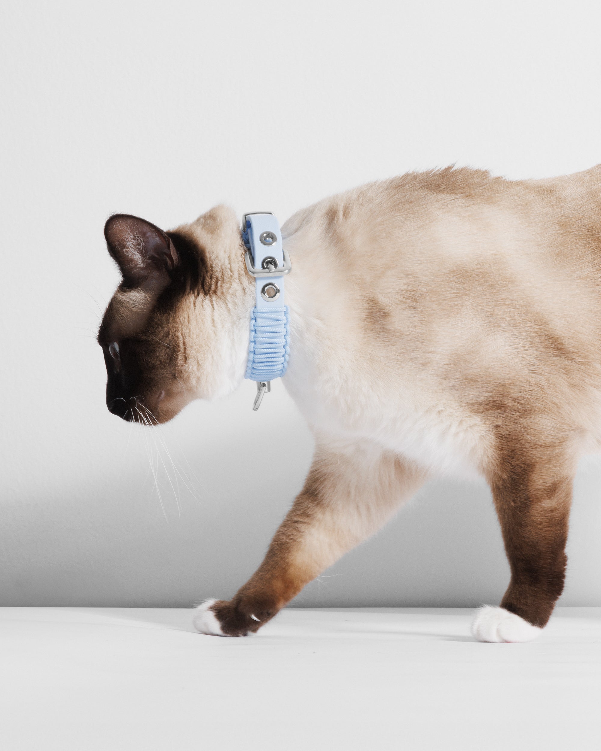 Obroża TINY baby blue