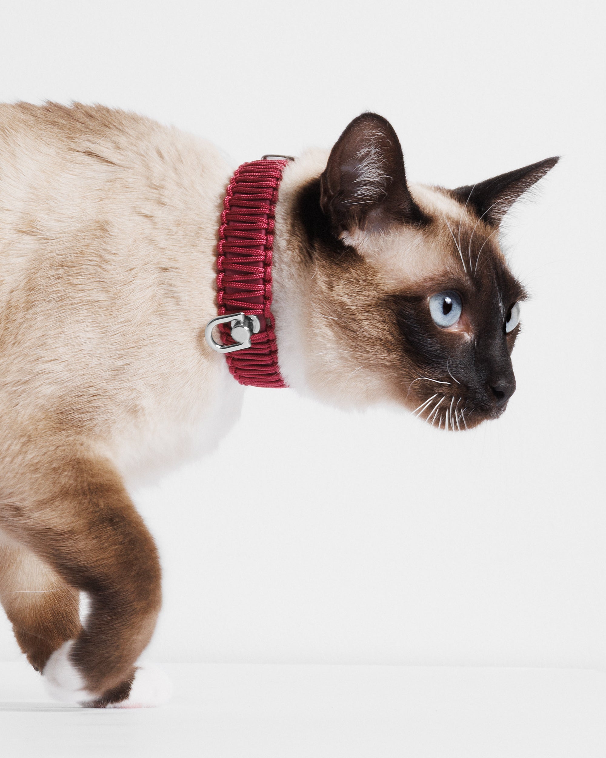 Obroża TINY Berry Me