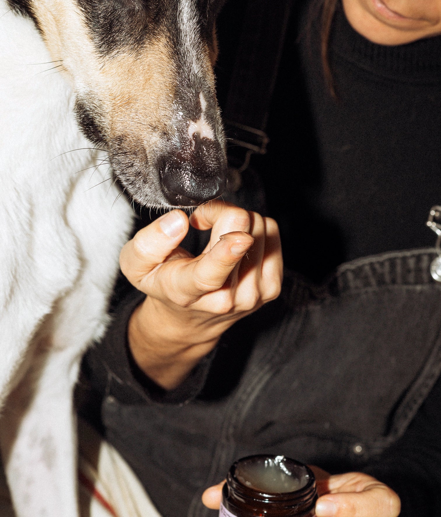 Balsam ochronny Hot Dog