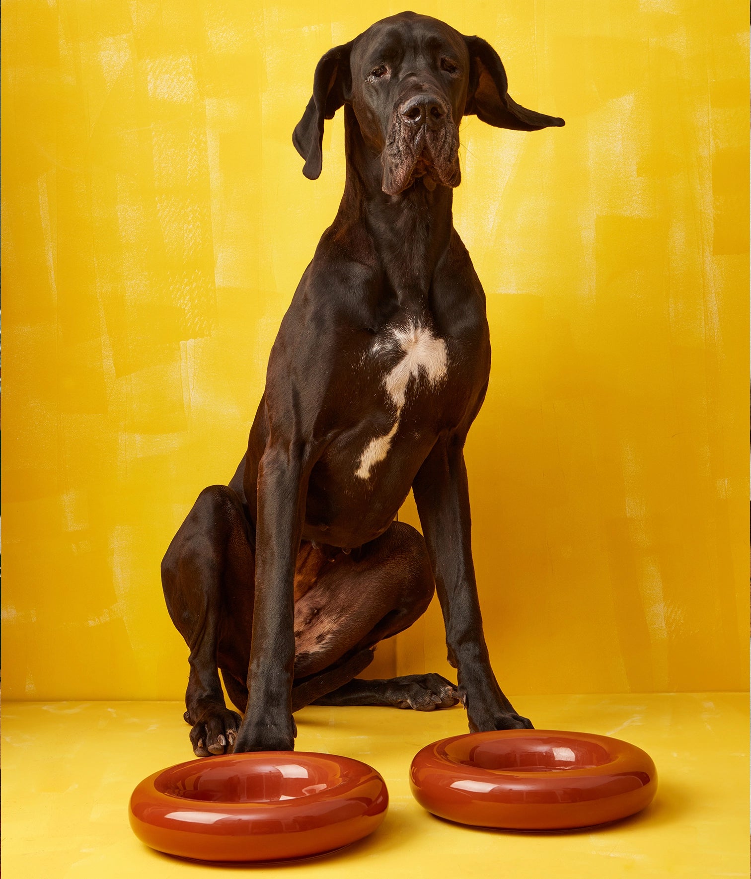 Miska ceramiczna Big Brown