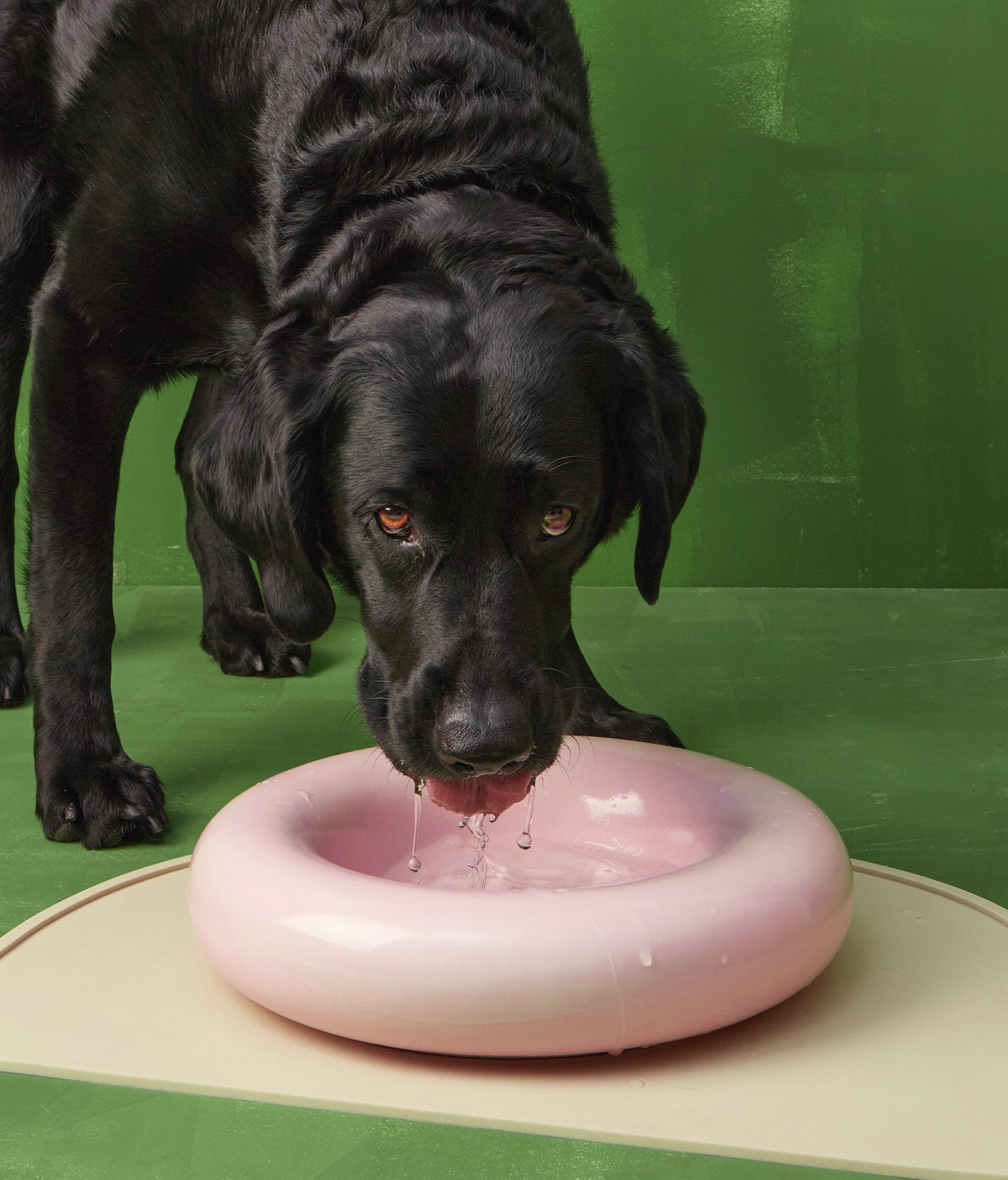 Miska ceramiczna Big Pink