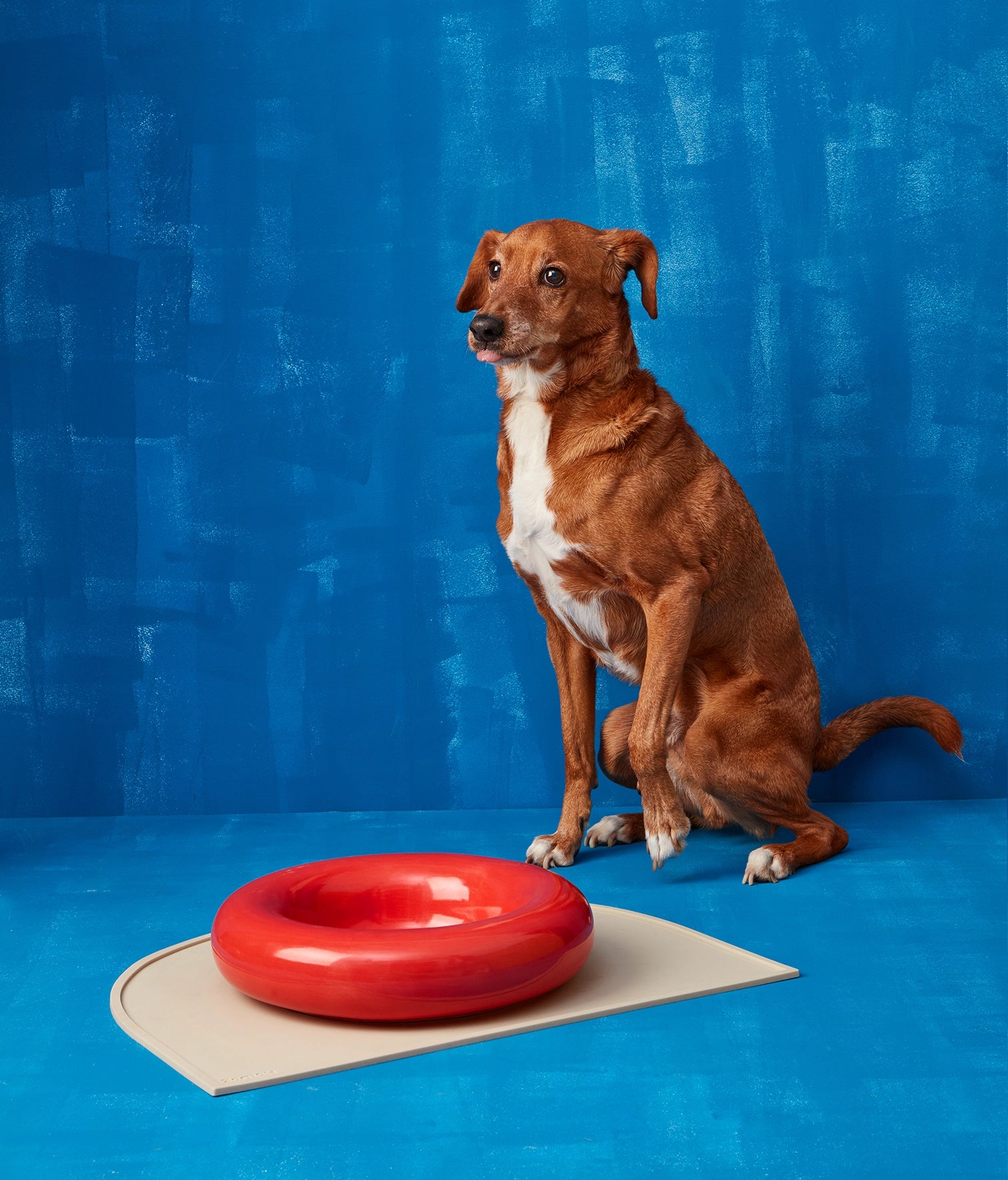 Miska ceramiczna Big Red