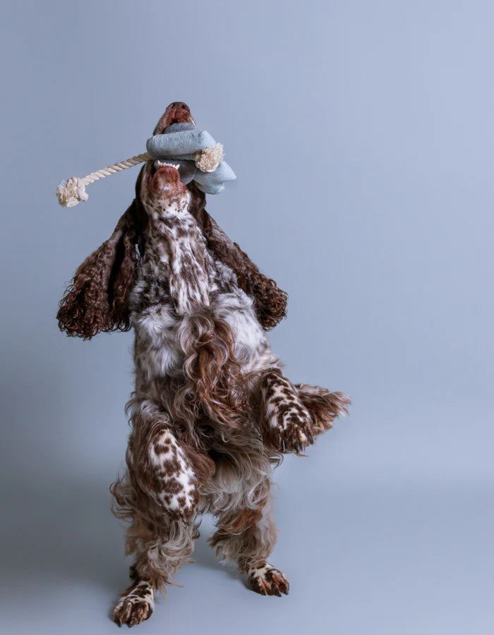 Pluszowa zabawka dla psa słoń z liną EMMA