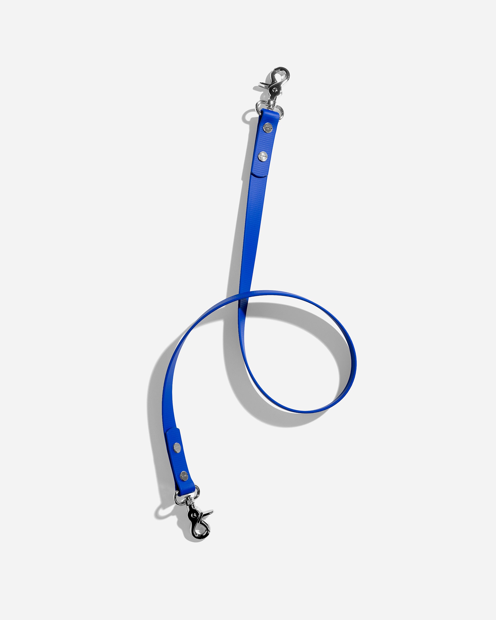 BOLD STRAP in Royal Blue