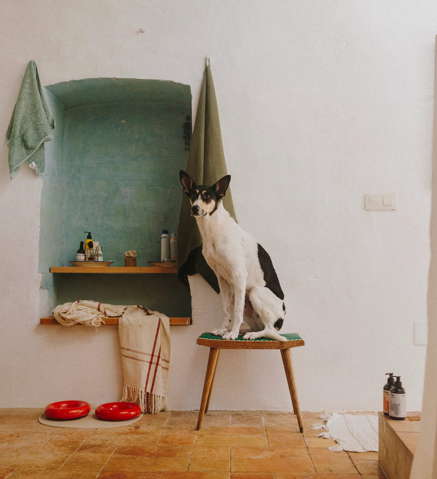 Miska ceramiczna Small Red