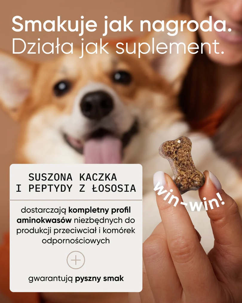 Be Vital kompleksowe wsparcie dla psów dorosłych i seniorów