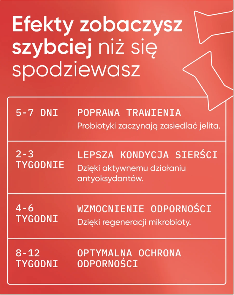 Be Protected wsparcie odporności