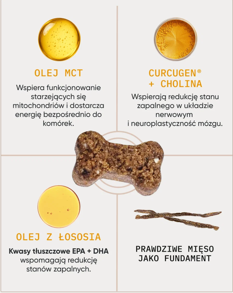 Be Vital kompleksowe wsparcie dla psów dorosłych i seniorów