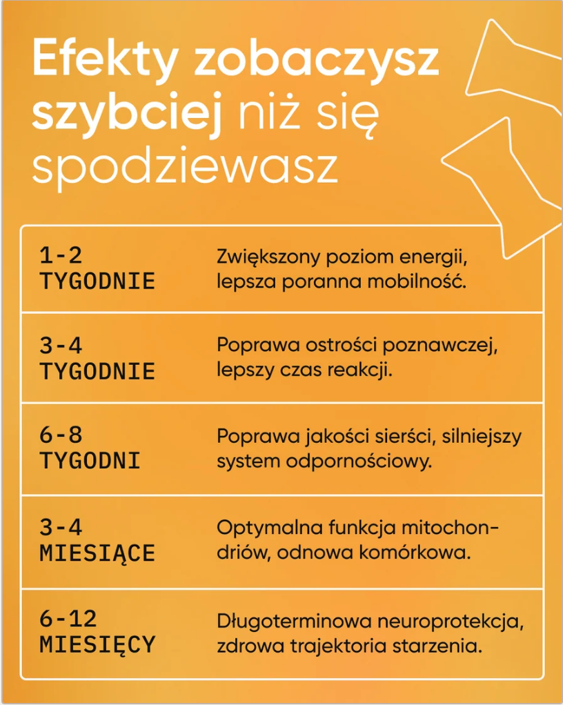 Be Vital kompleksowe wsparcie dla psów dorosłych i seniorów